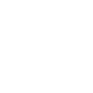 Fuel Economy